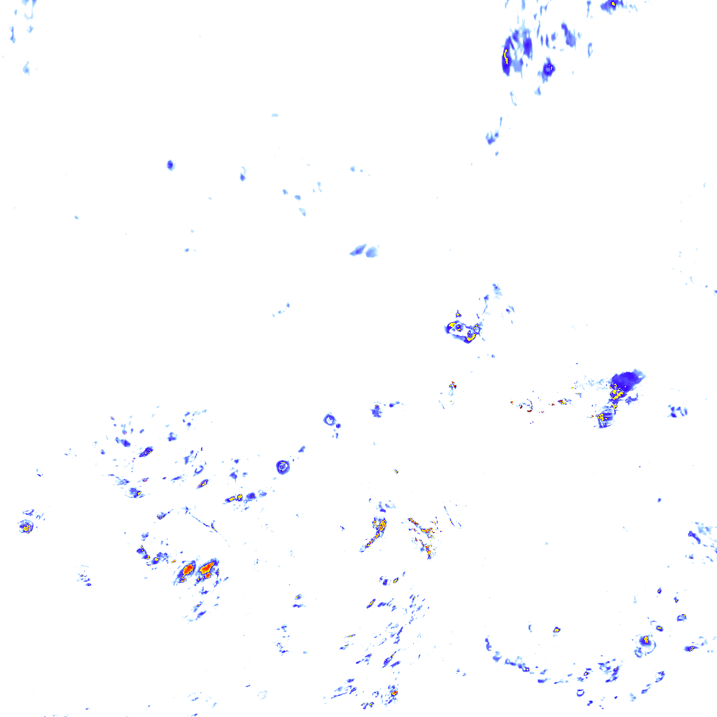 rainLayer