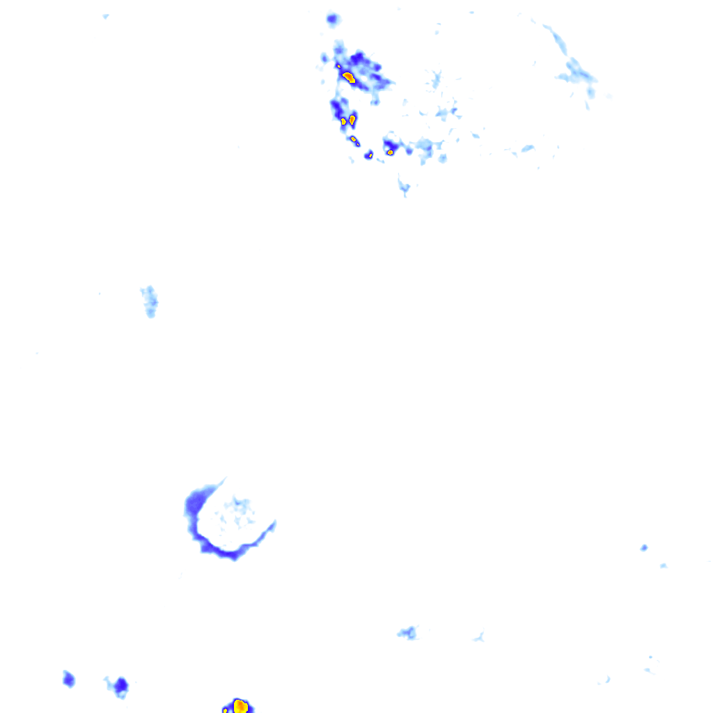 rainLayer
