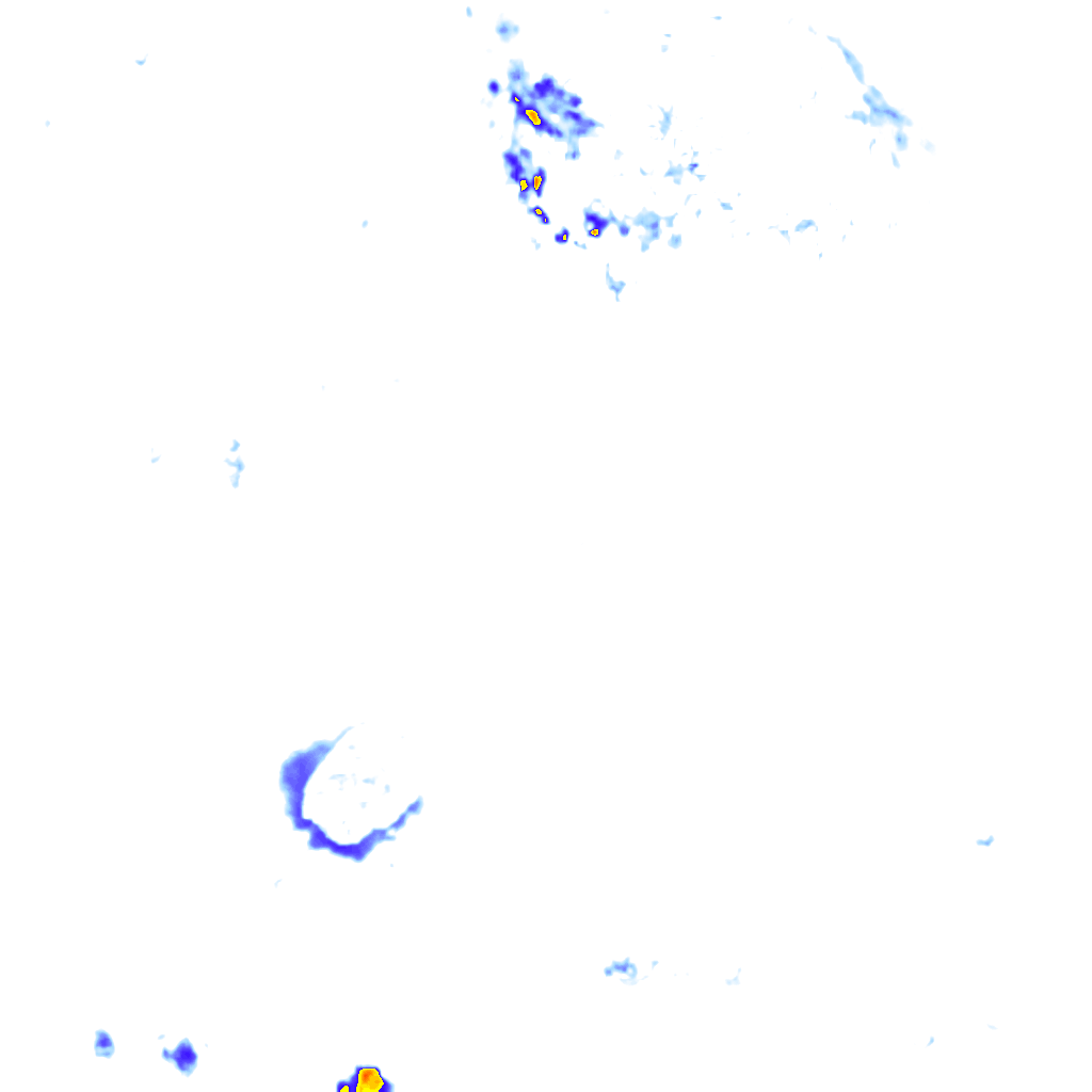 rainLayer