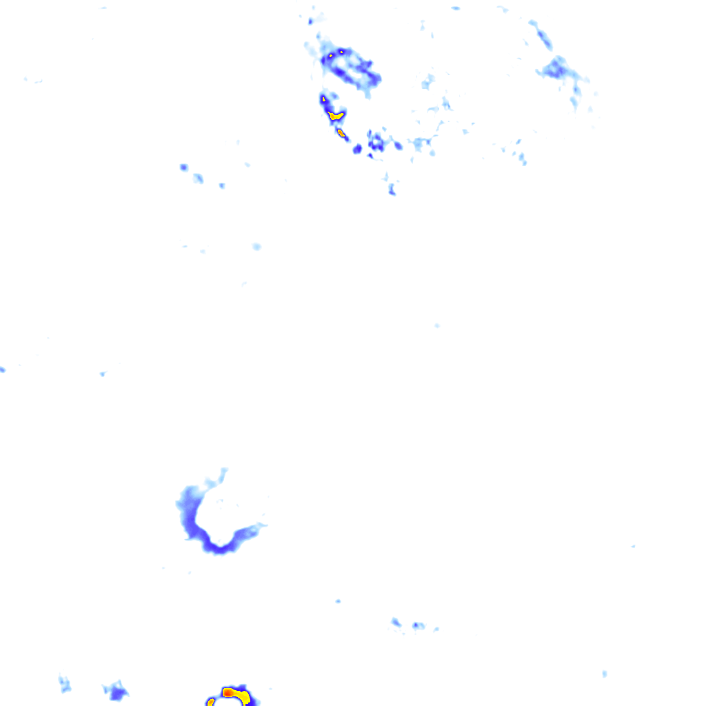 rainLayer