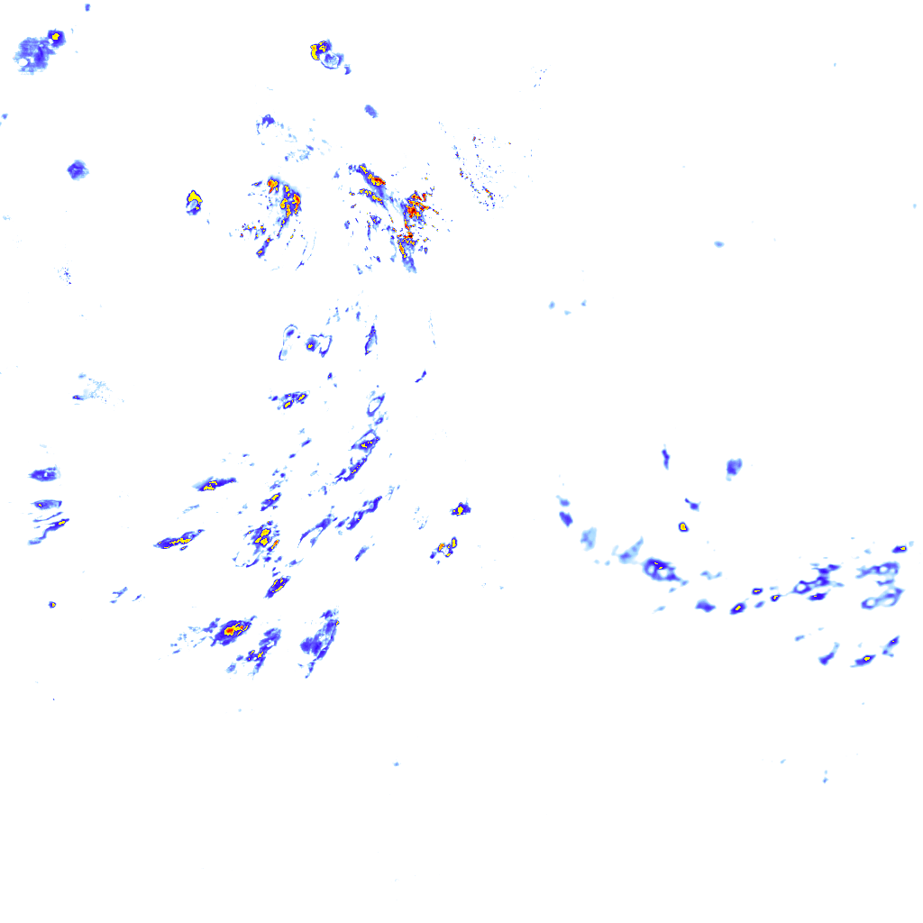 rainLayer