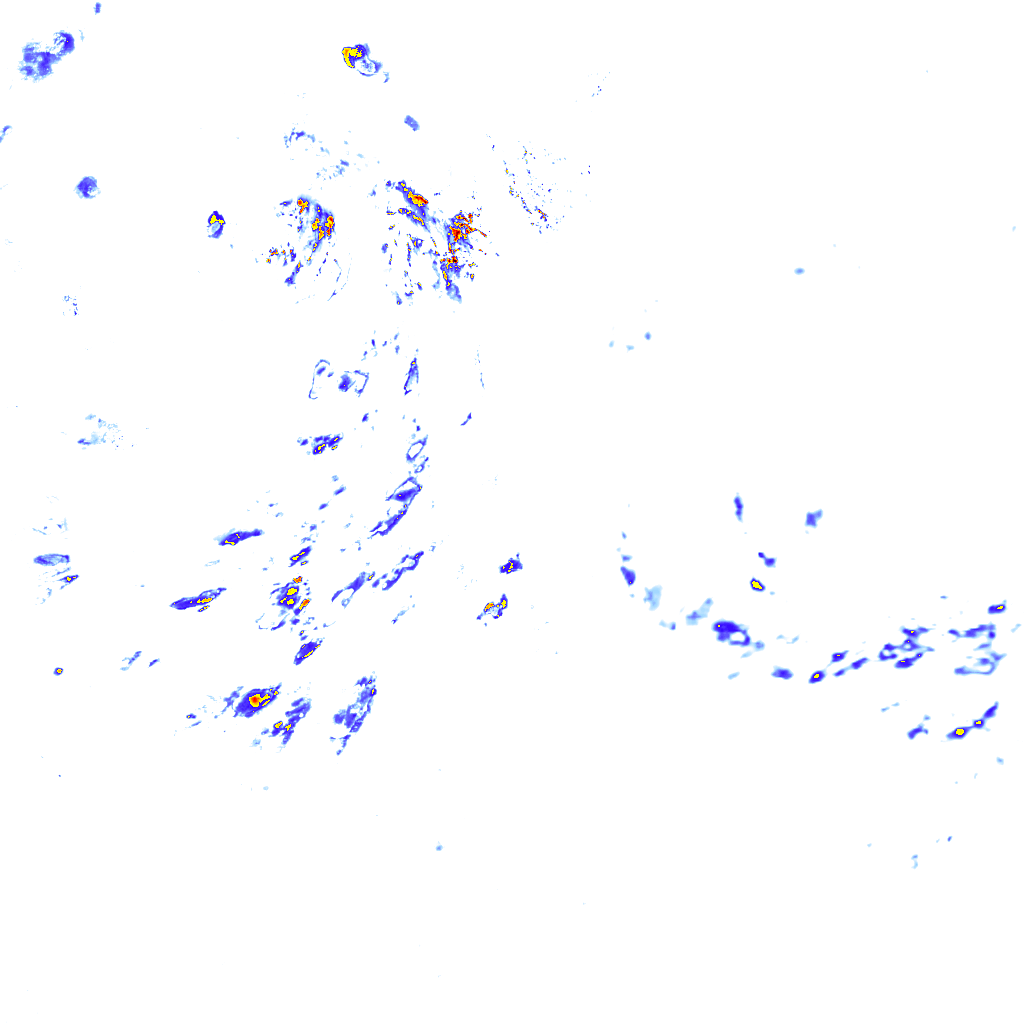 Image Layer