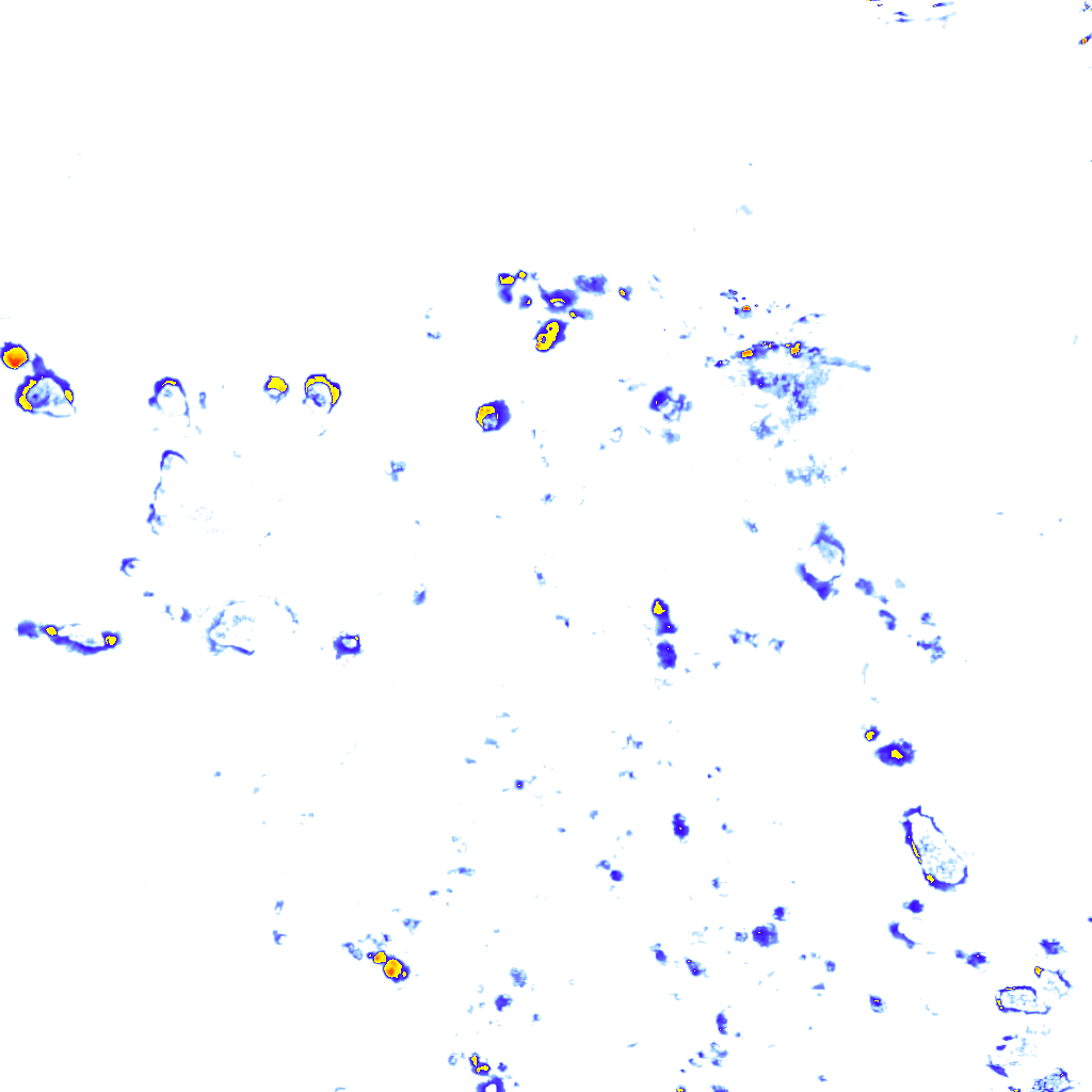 rainLayer