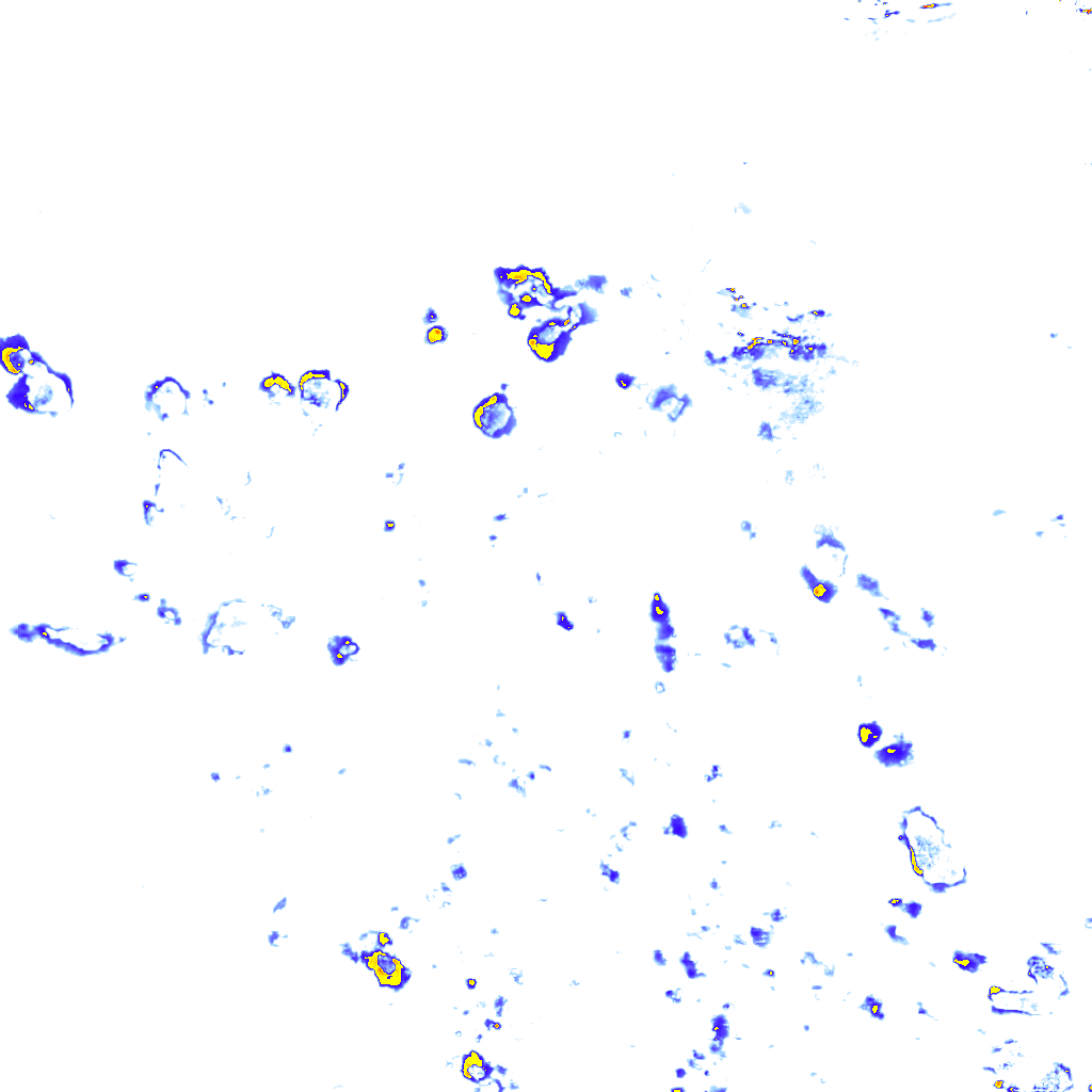 rainLayer