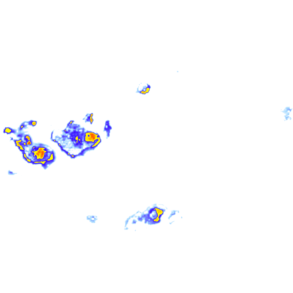 rainLayer