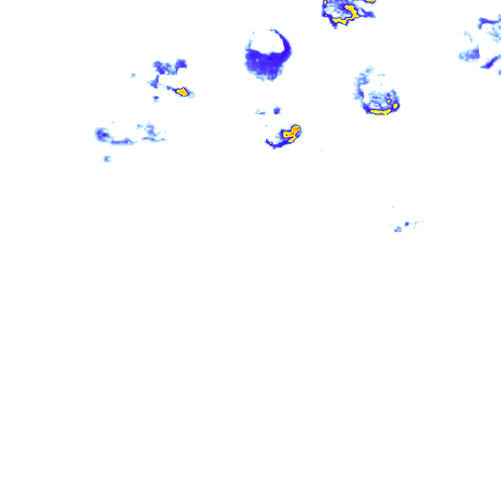 rainLayer