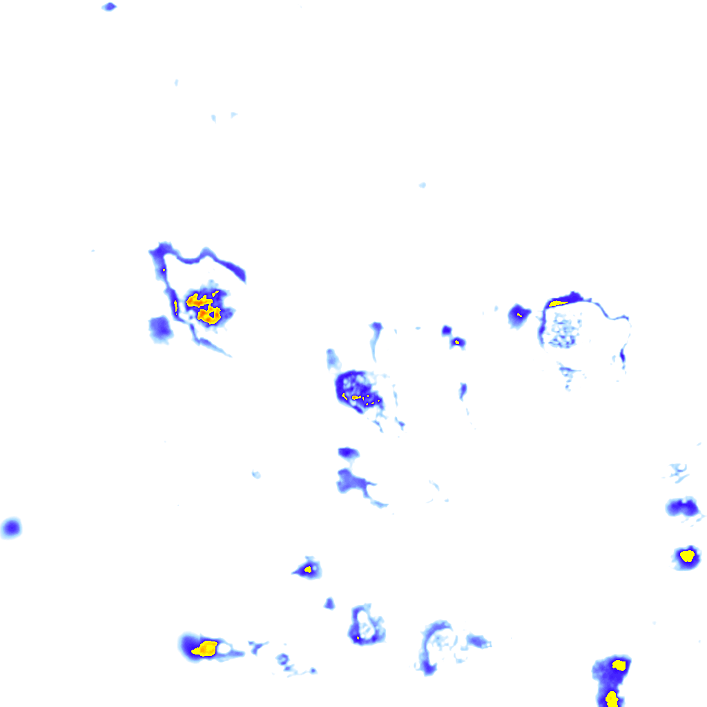 rainLayer