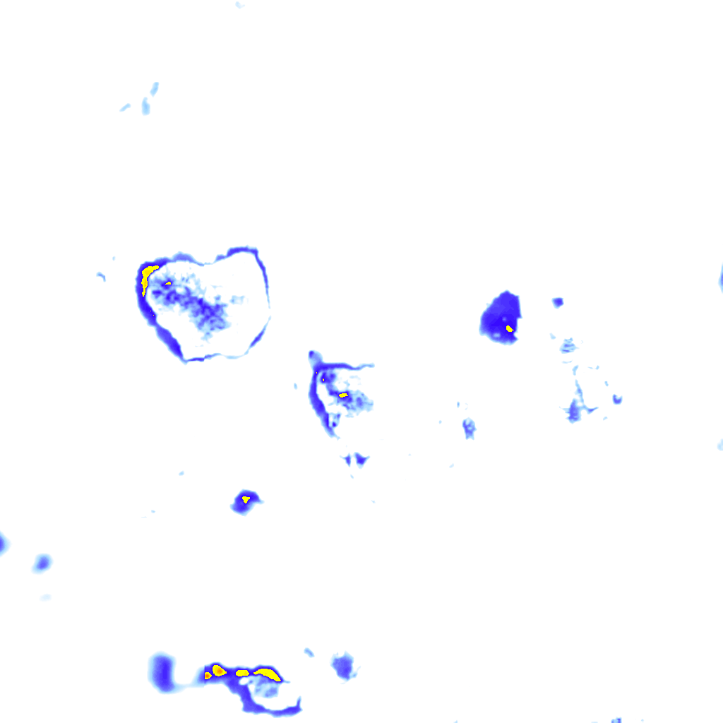 Image Layer