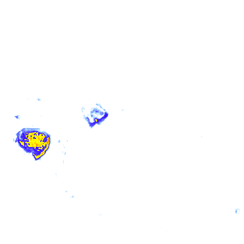 Image Layer