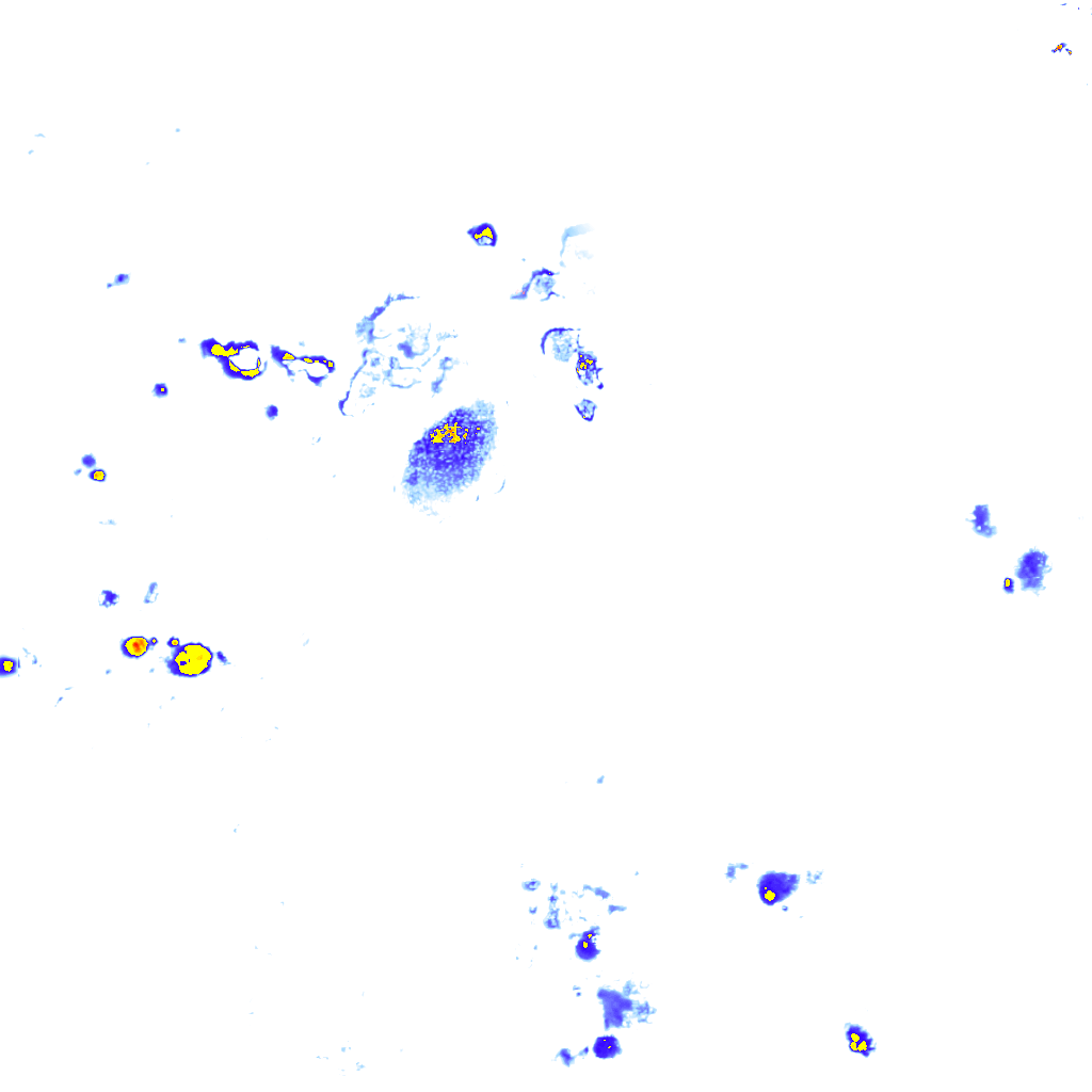 rainLayer