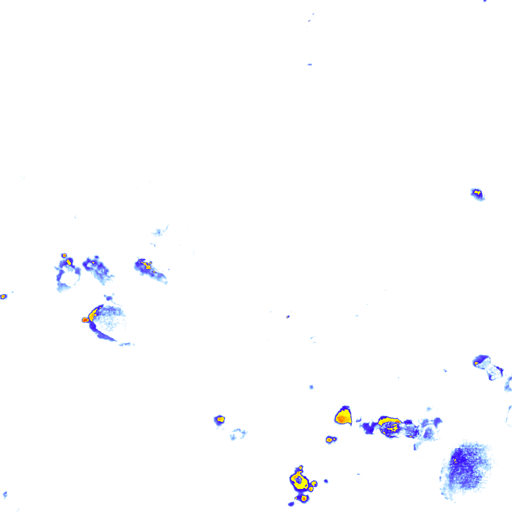 rainLayer