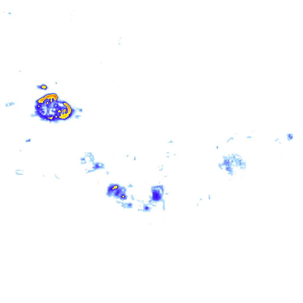 Image Layer