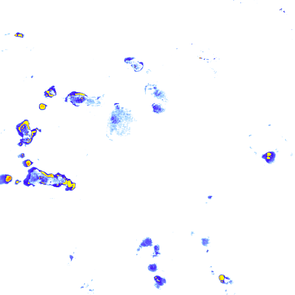 Image Layer