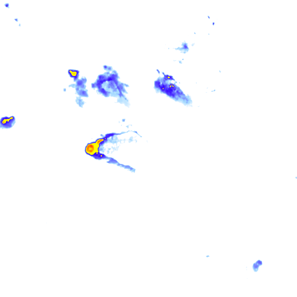 Image Layer