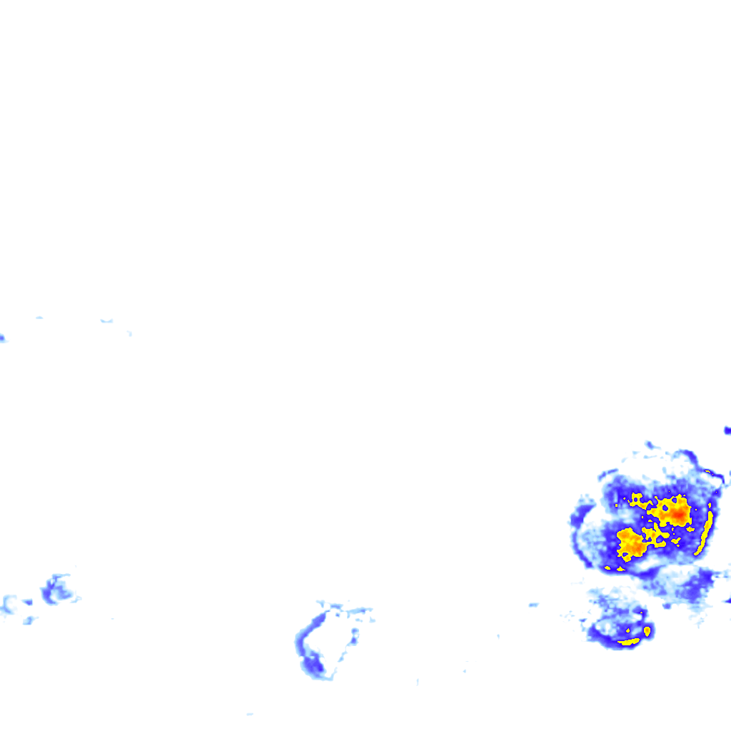 rainLayer