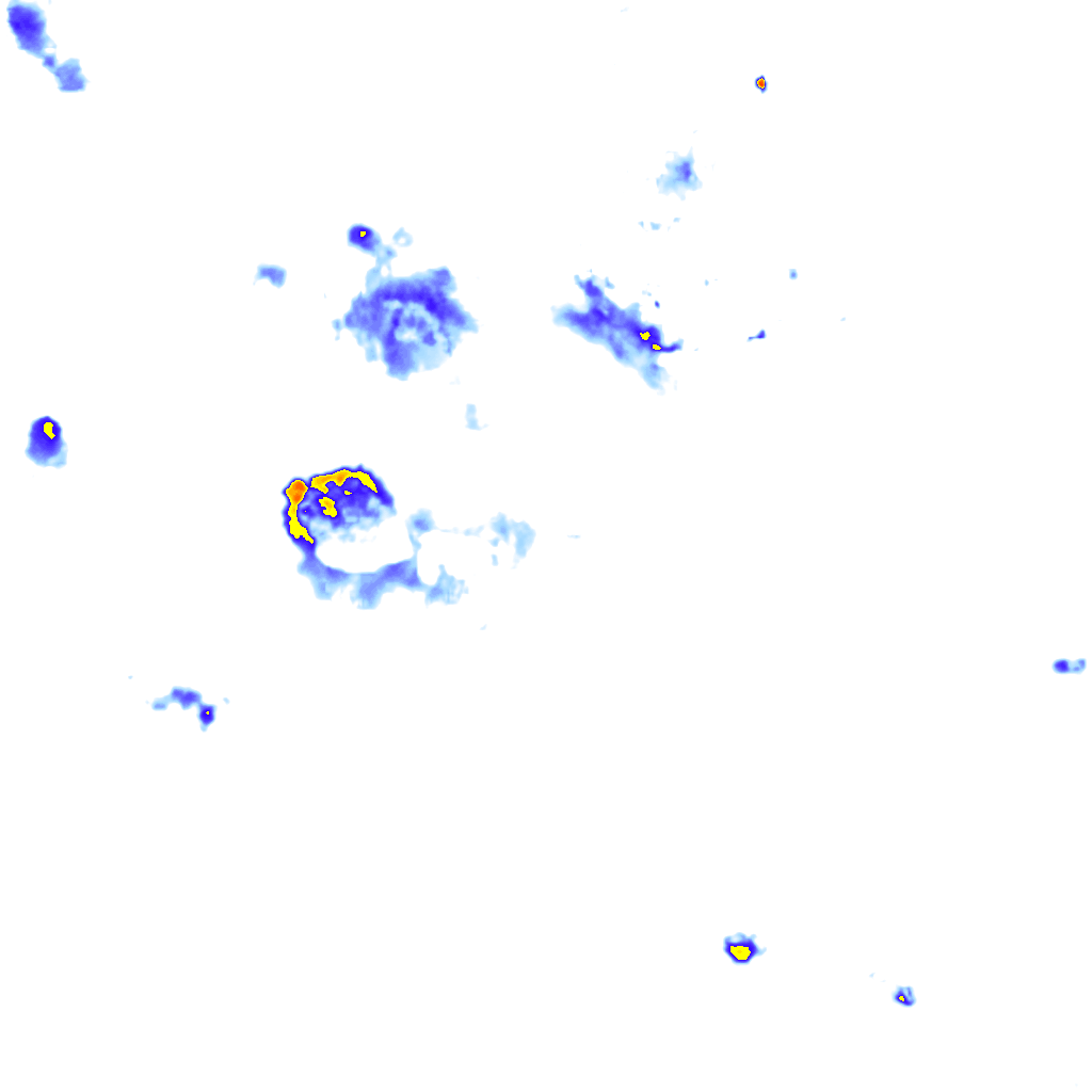 rainLayer