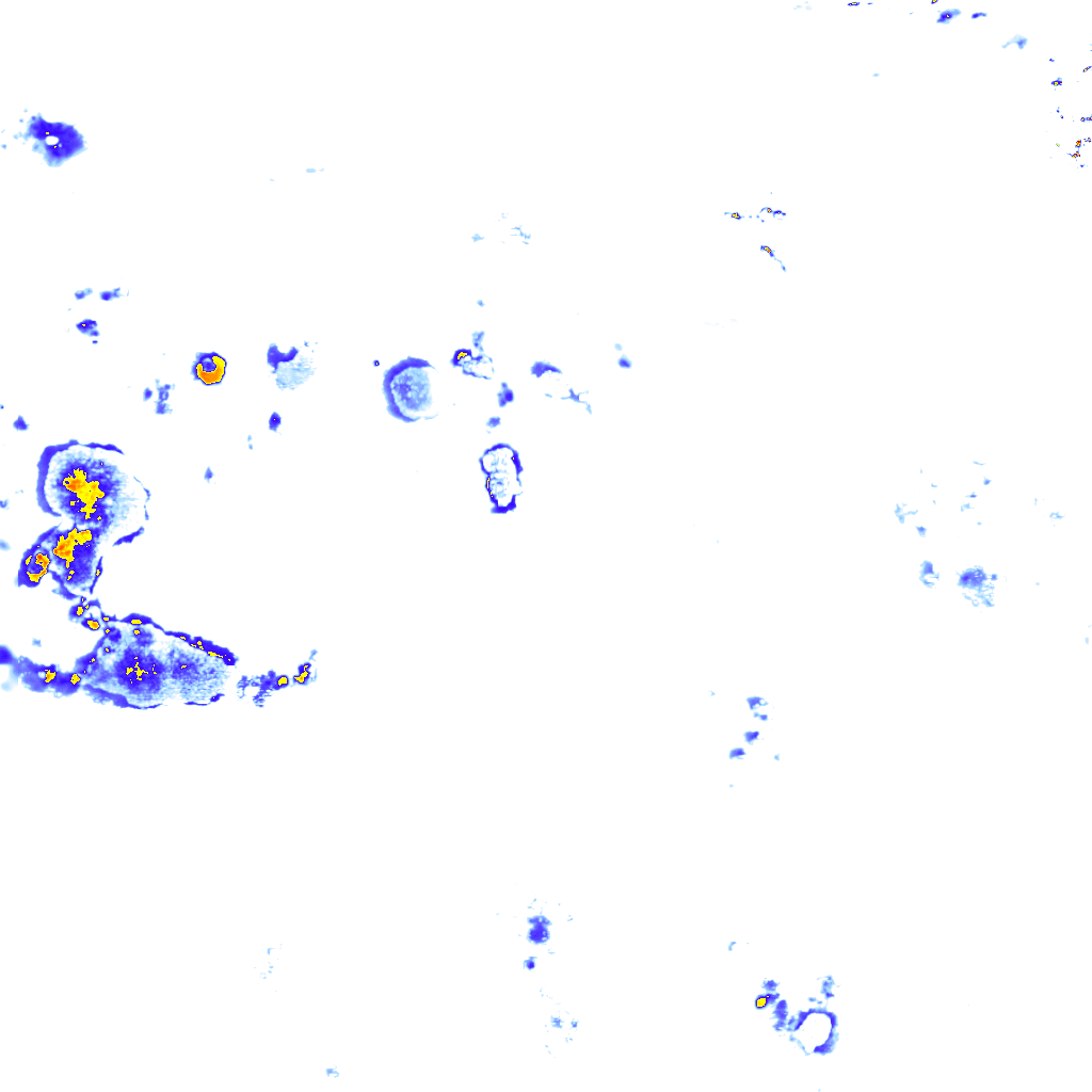 rainLayer