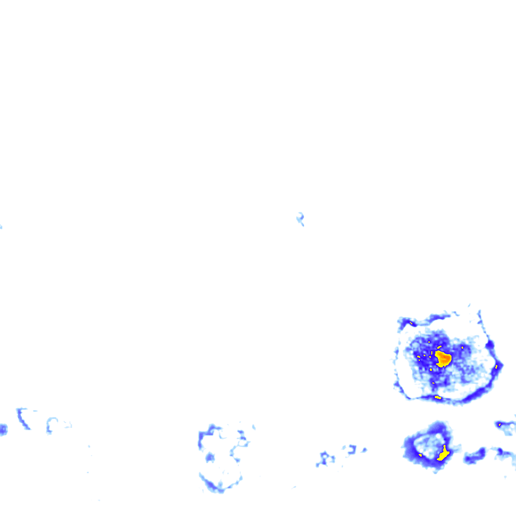 rainLayer