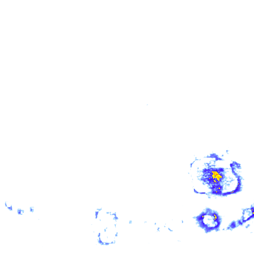 rainLayer