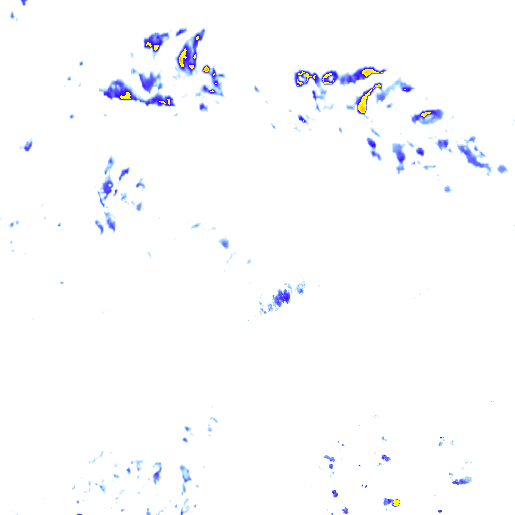 rainLayer