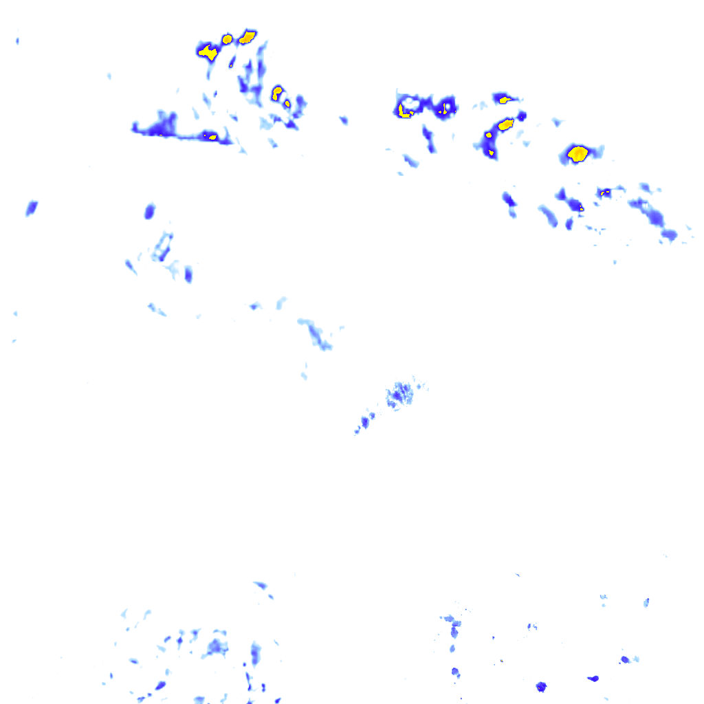 rainLayer