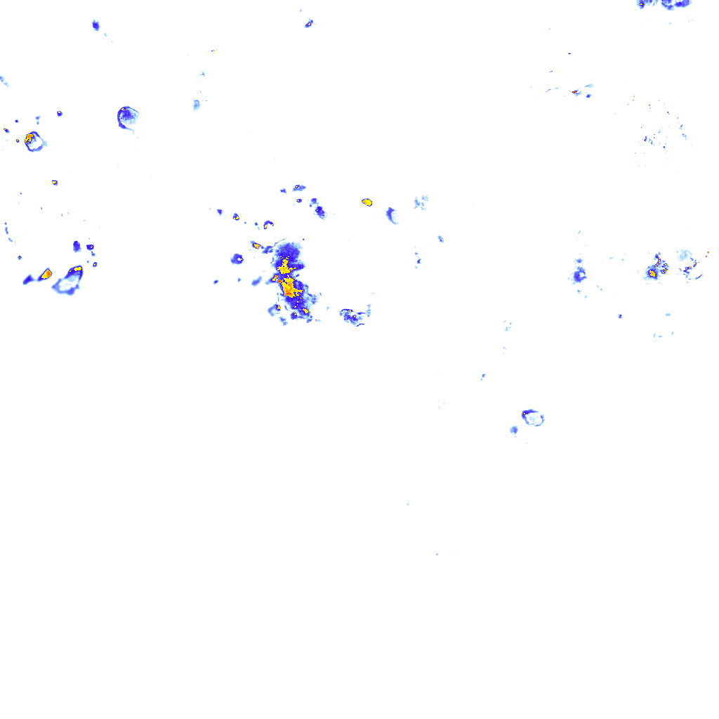 rainLayer