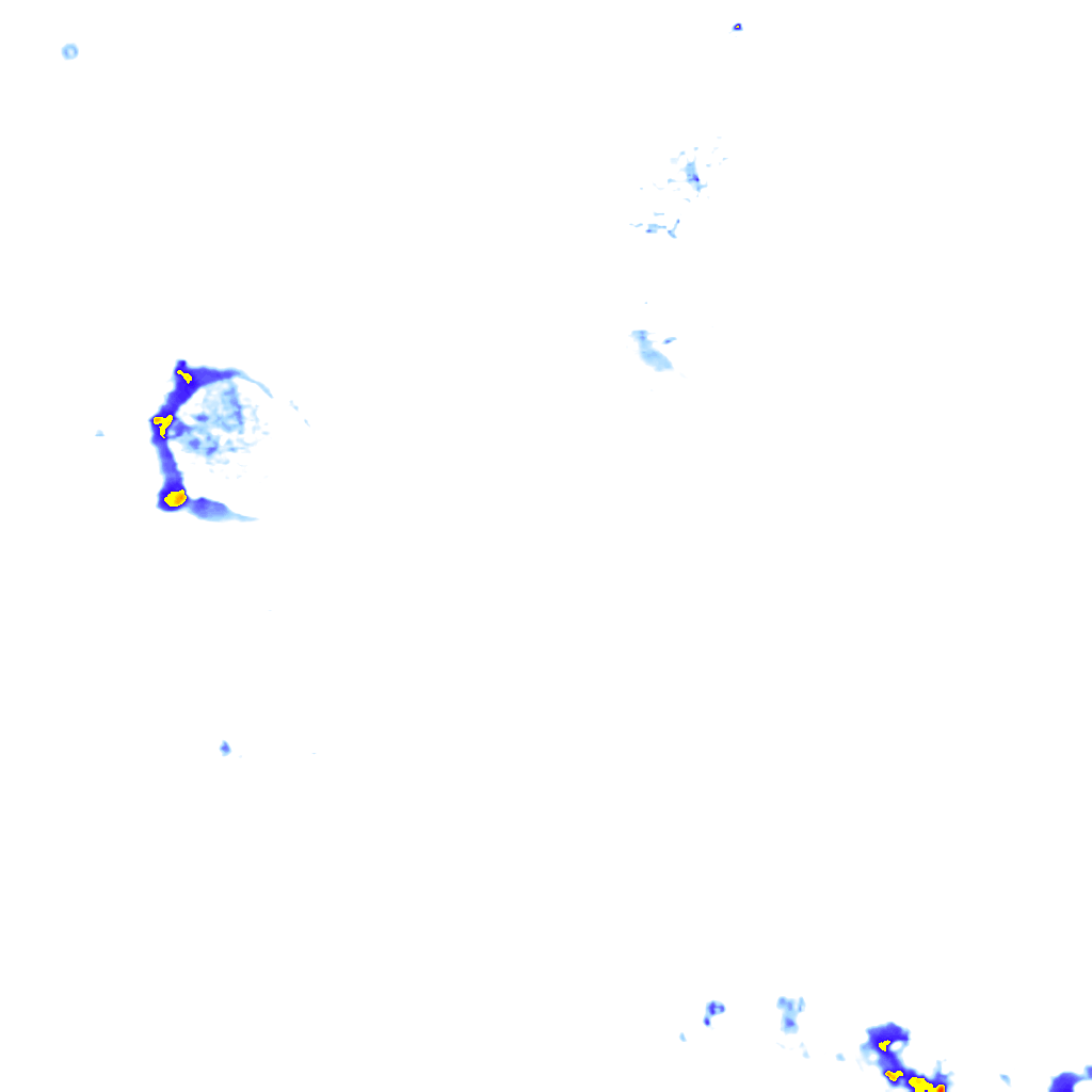 rainLayer