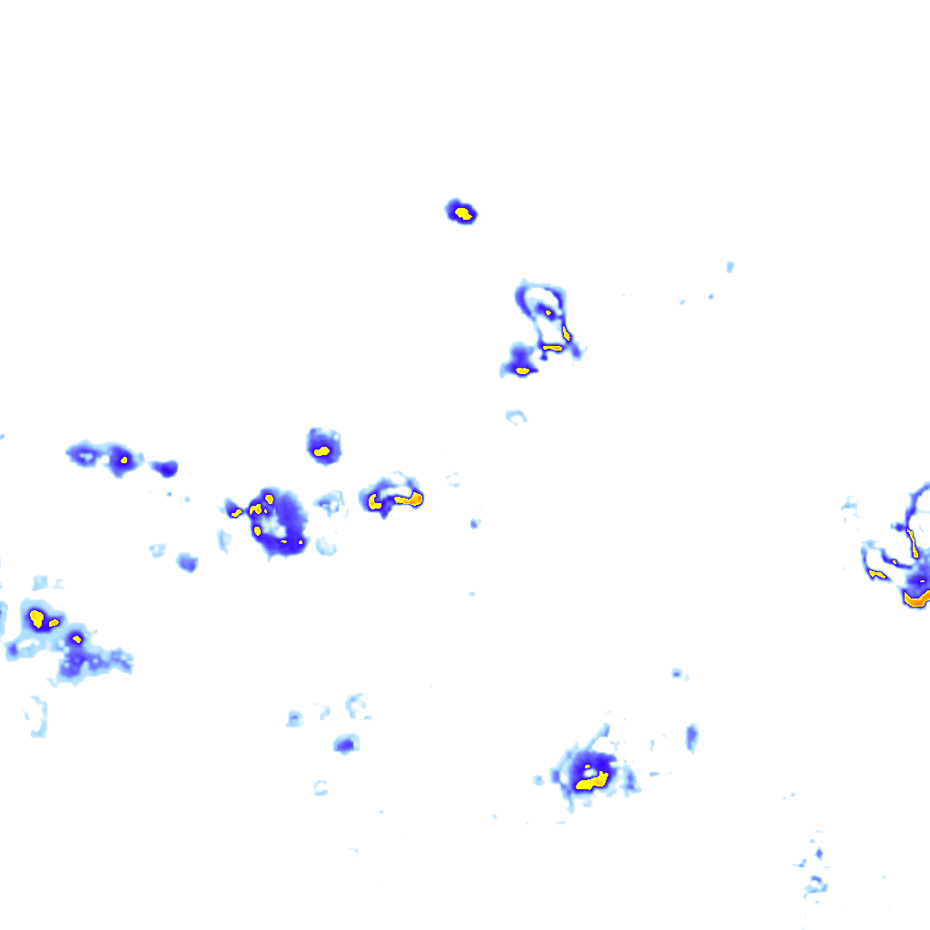 rainLayer