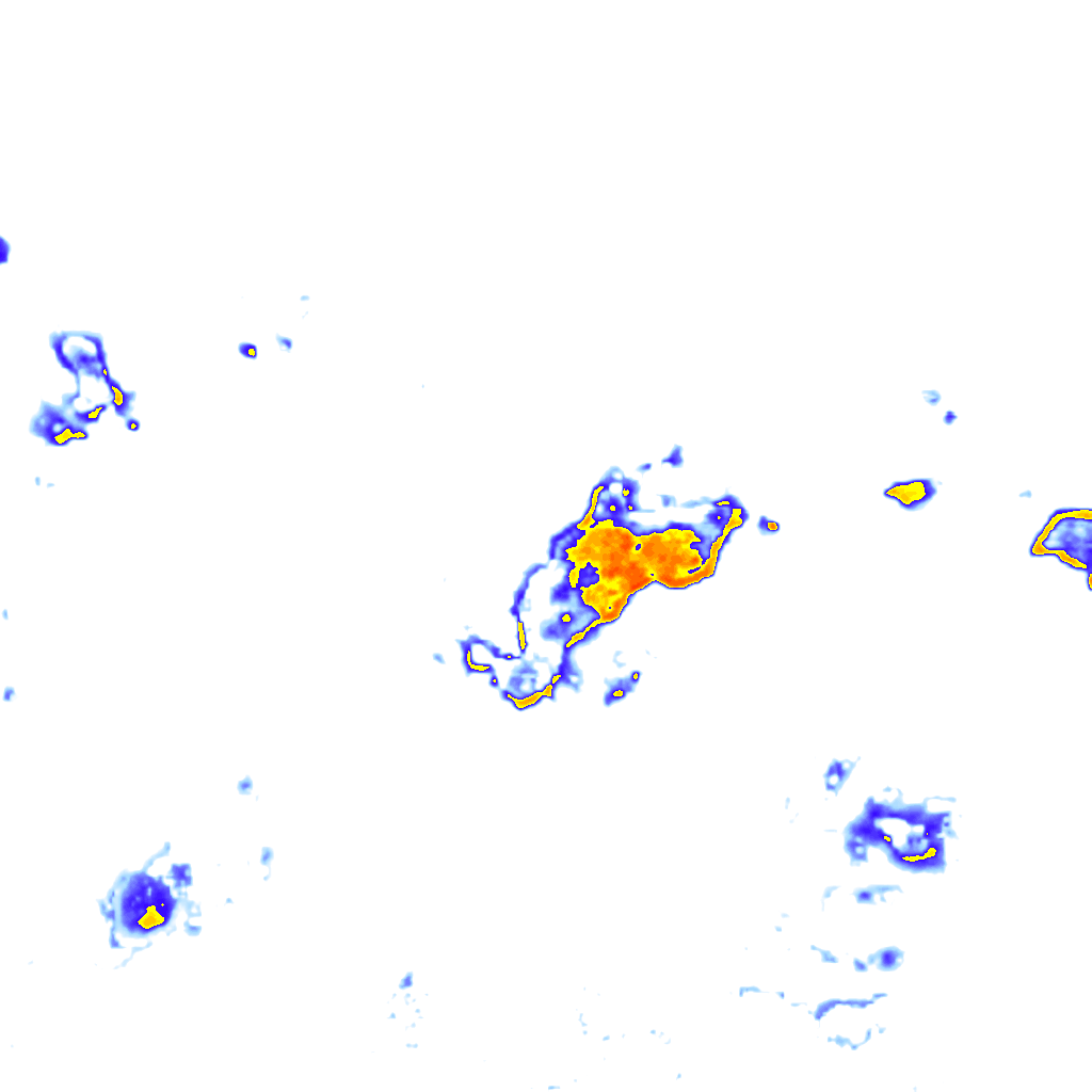 rainLayer