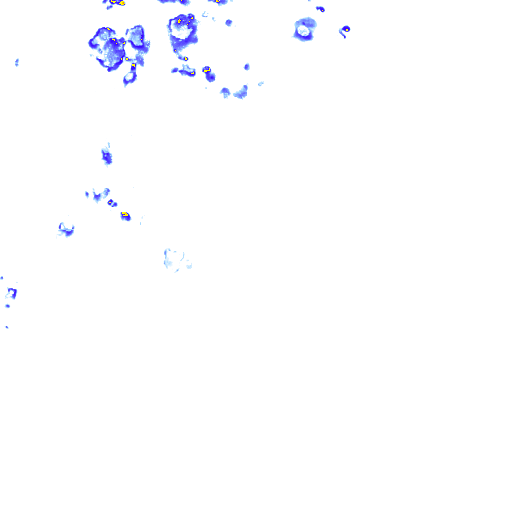 rainLayer