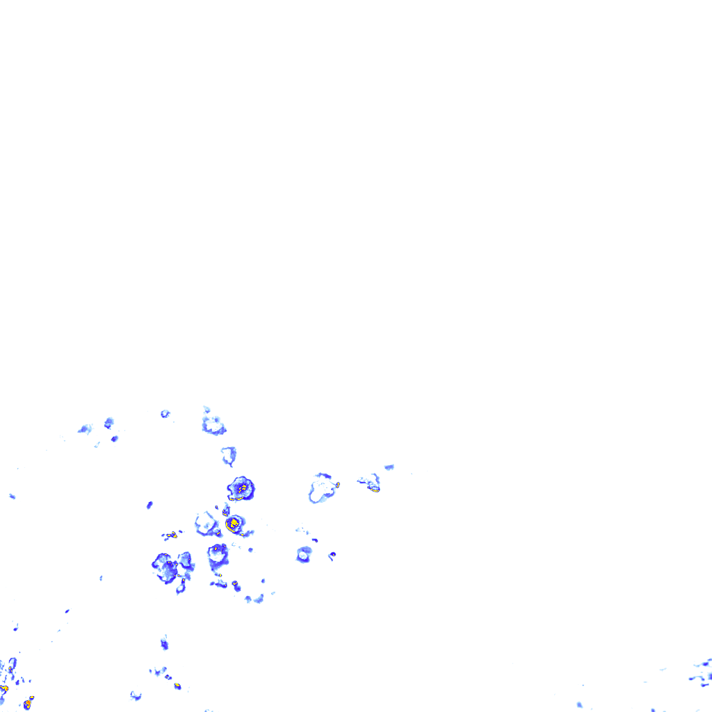 rainLayer