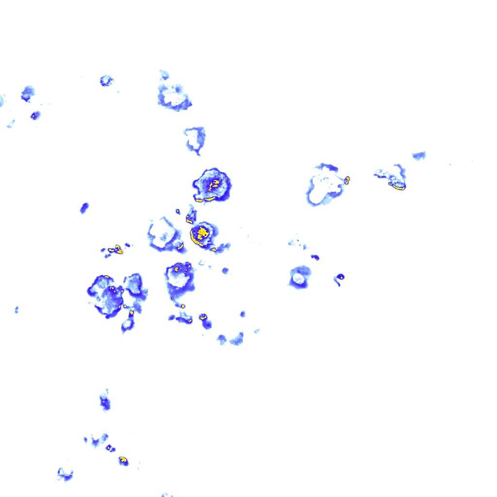 Image Layer