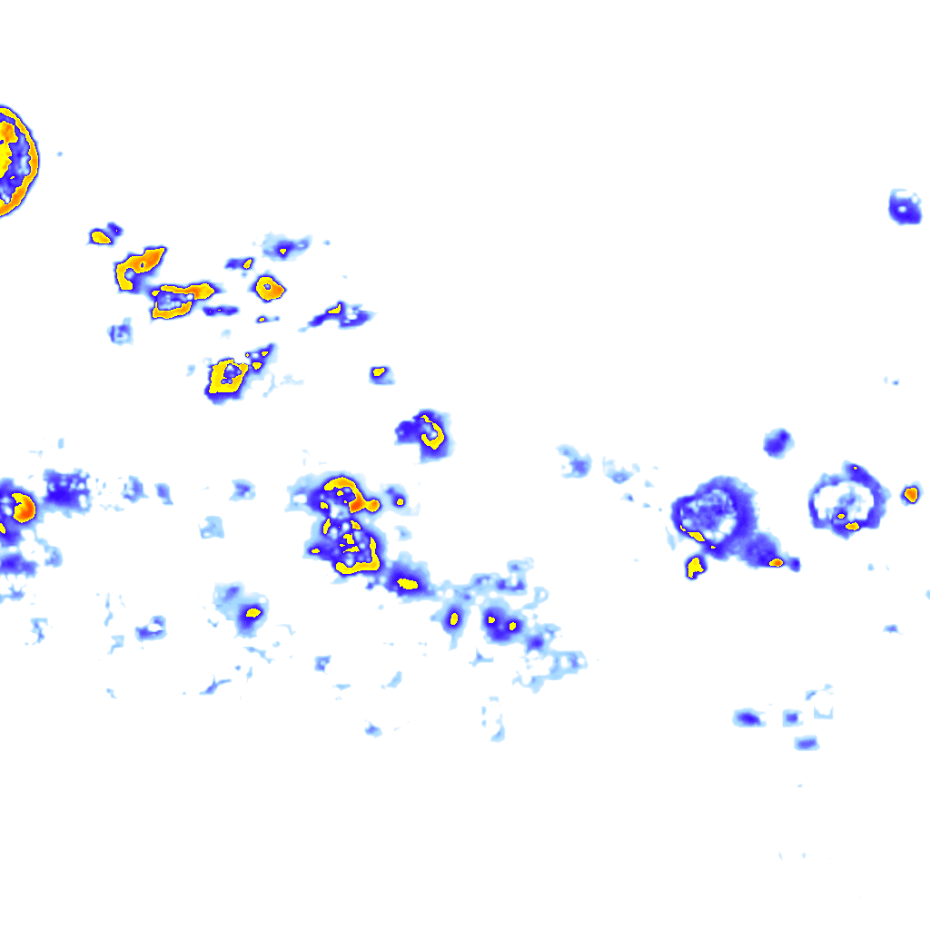 Image Layer