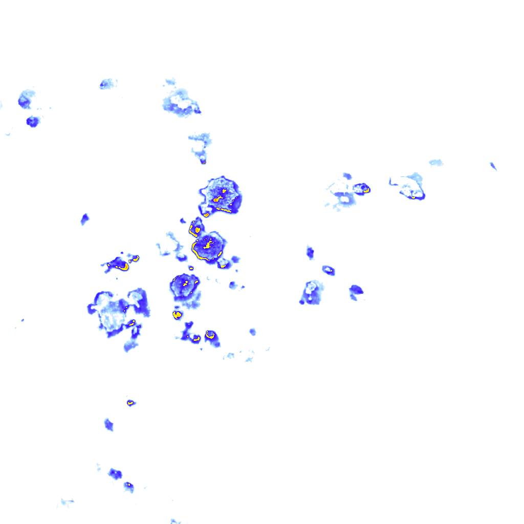 rainLayer