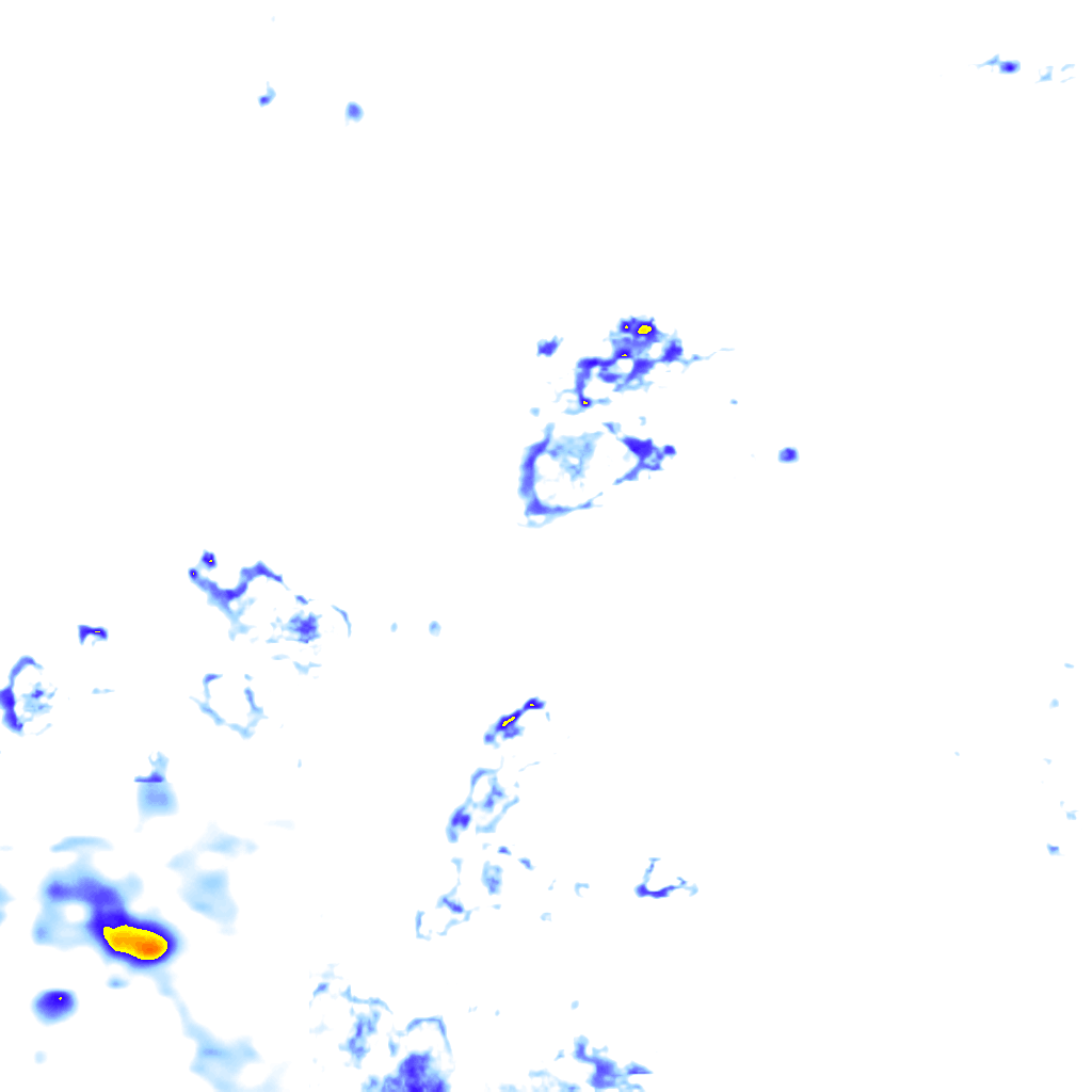Image Layer