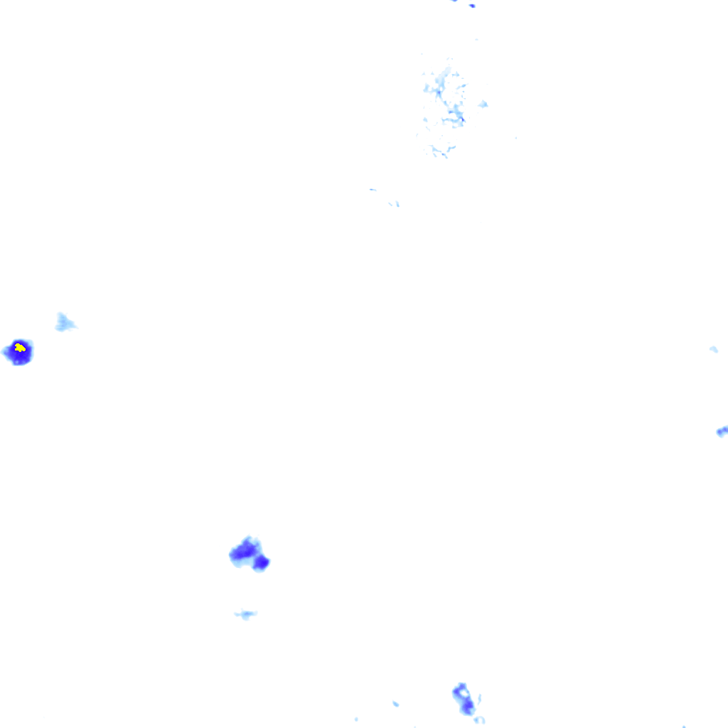 rainLayer