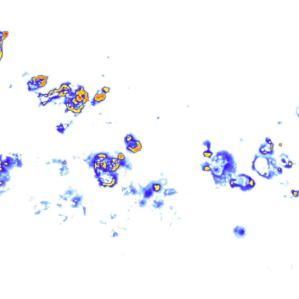 Image Layer