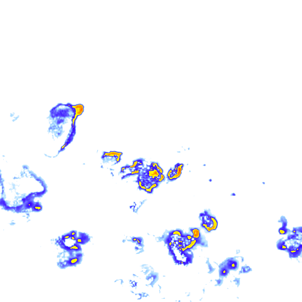 Image Layer