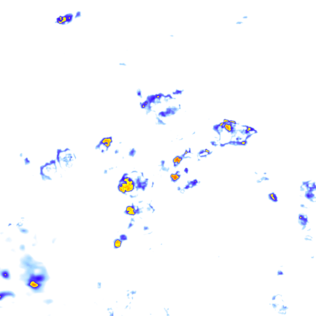 Image Layer