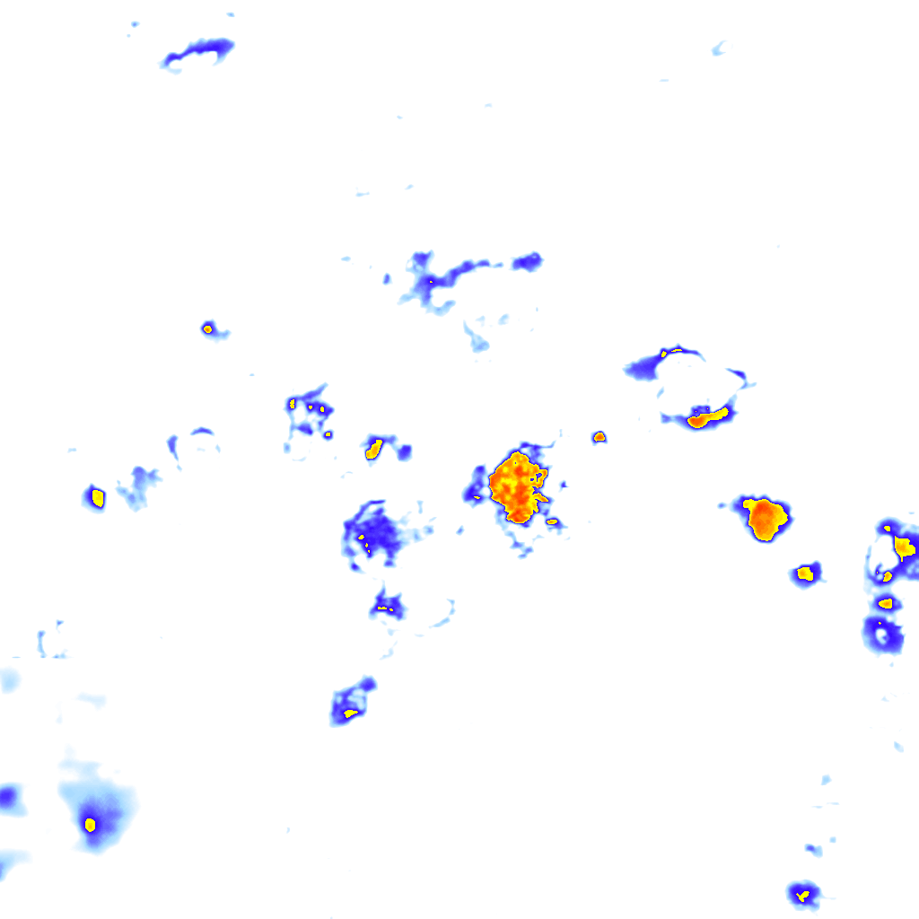 Image Layer