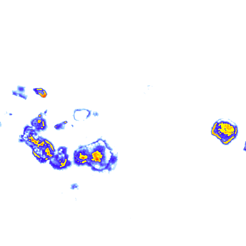 Image Layer