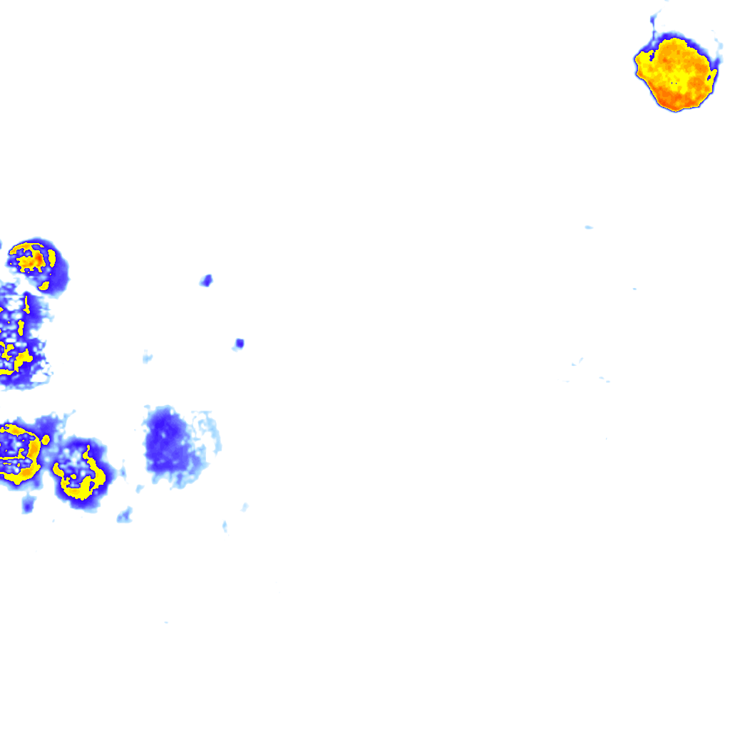 Image Layer