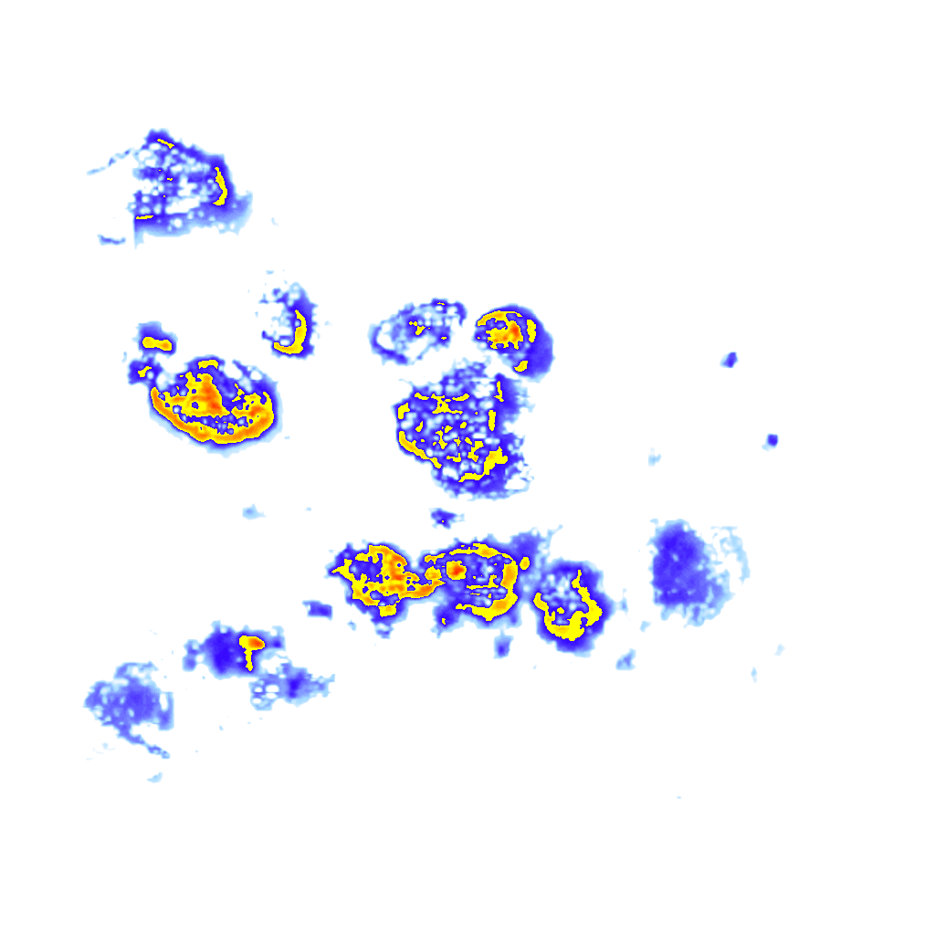 Image Layer