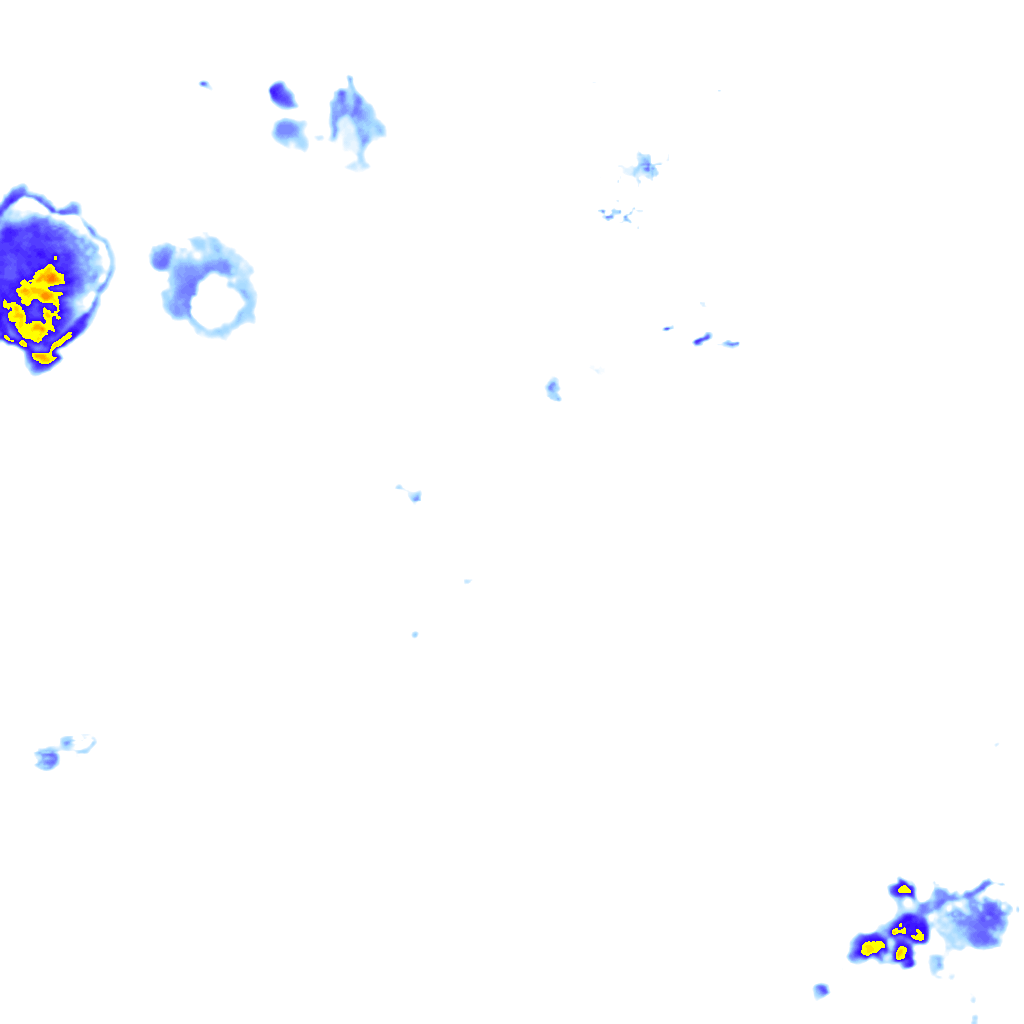 Image Layer