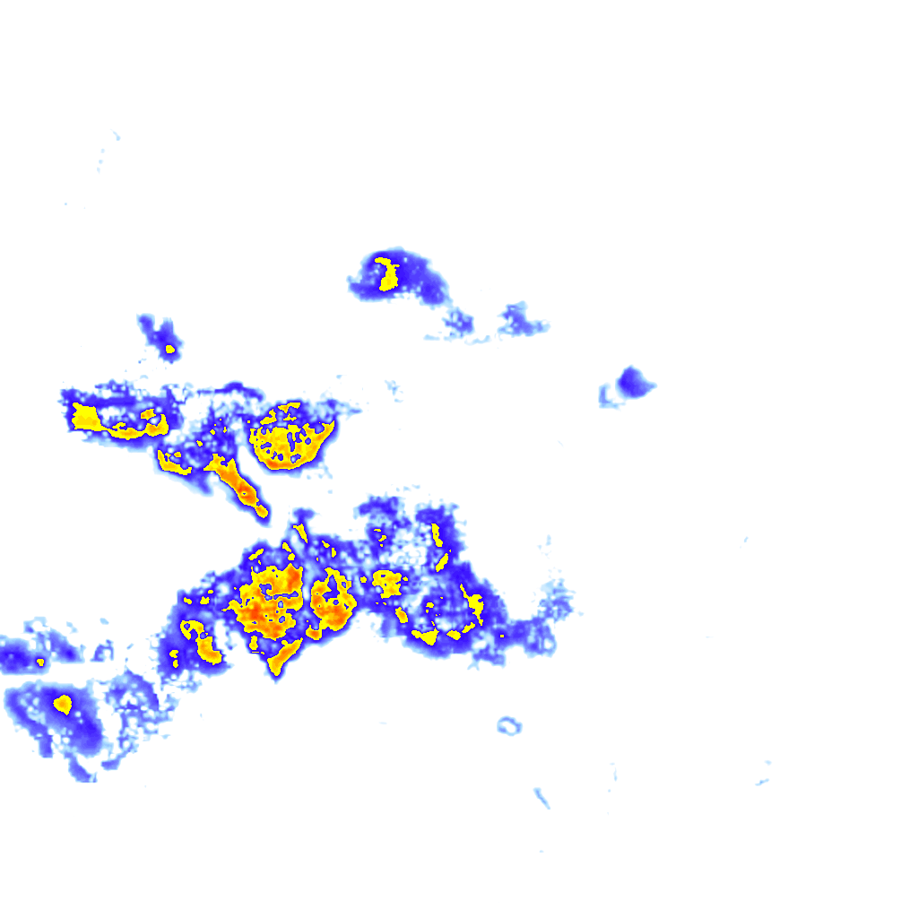 rainLayer