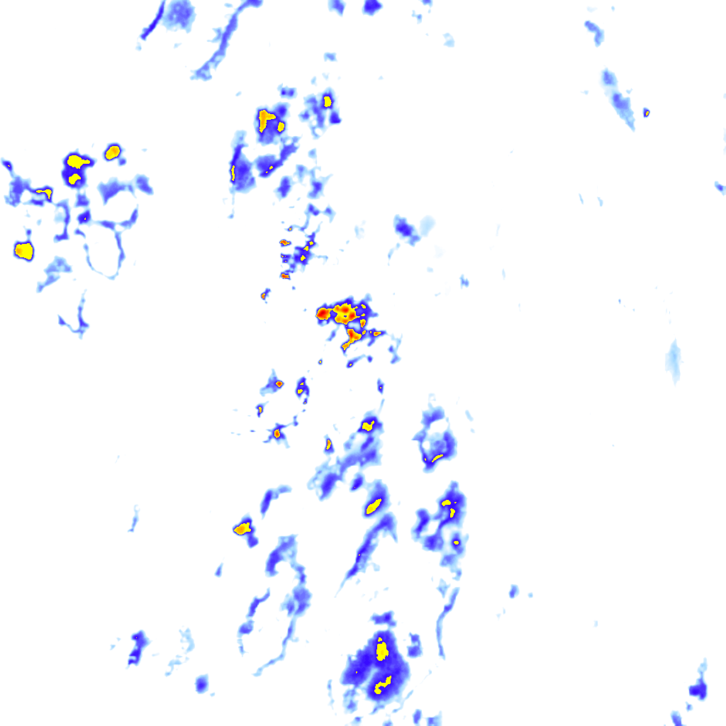 rainLayer