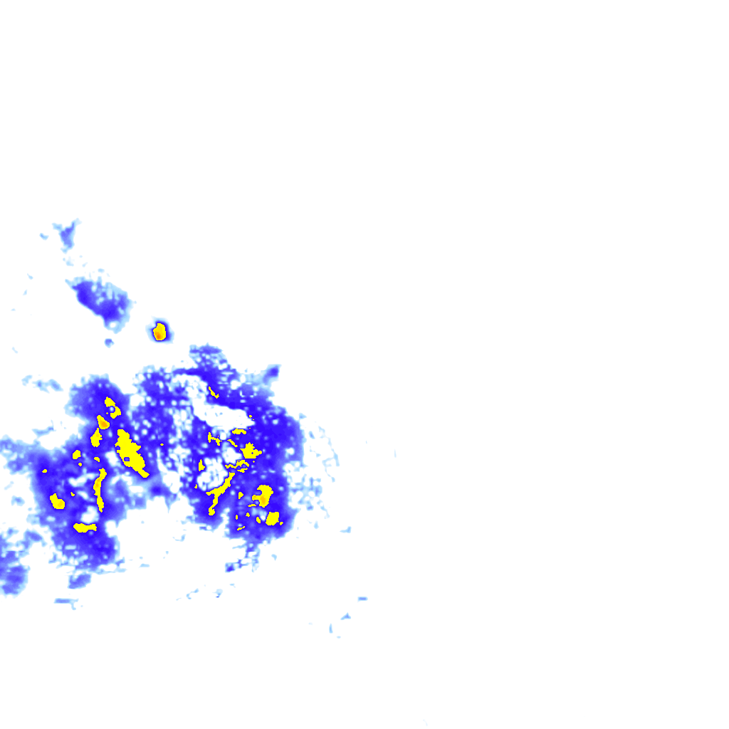 rainLayer
