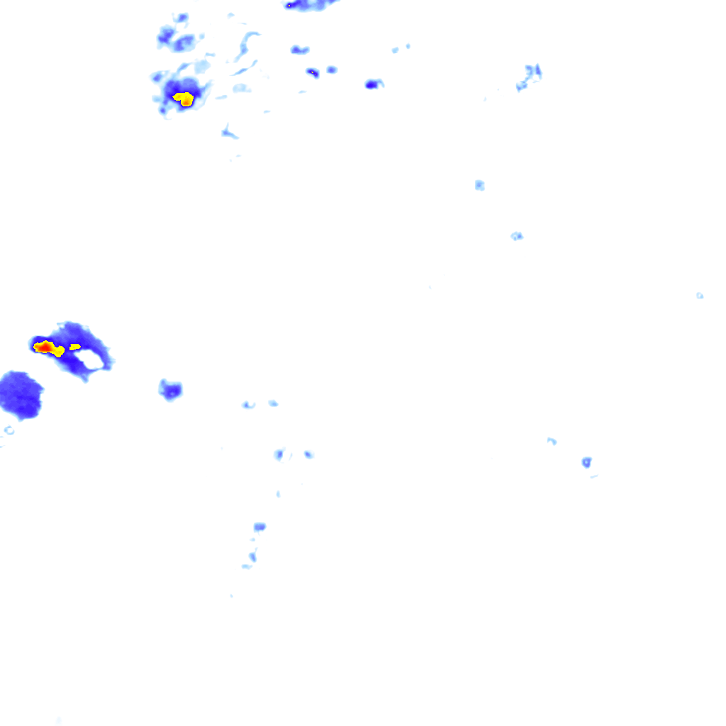 rainLayer