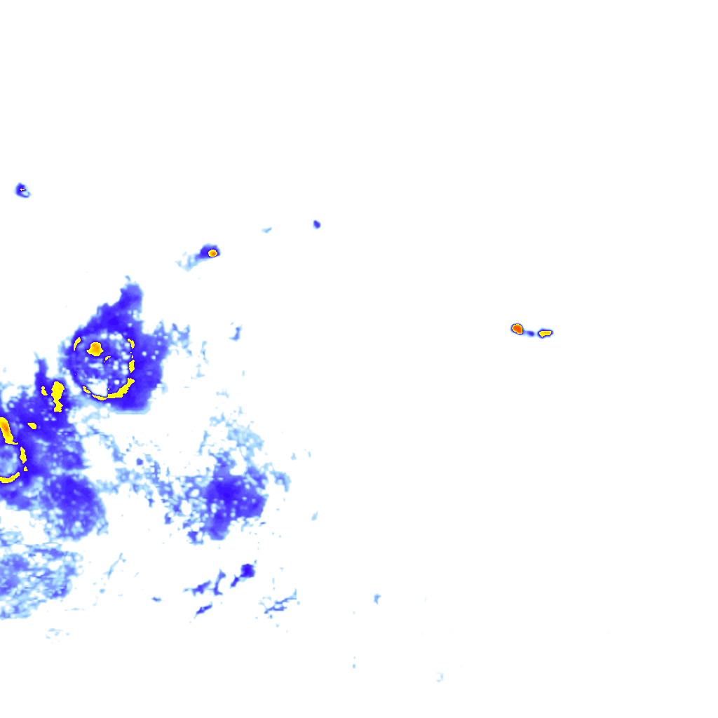 rainLayer
