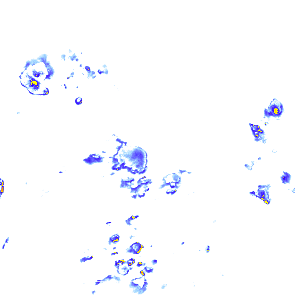 Image Layer